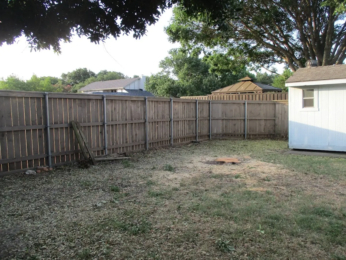 Cleared yard after professional tree removal in Buffalo Center